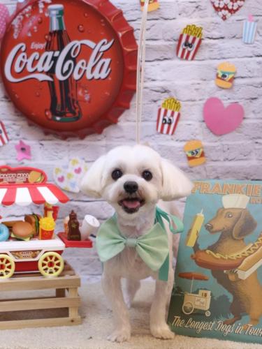 20230919まるくん